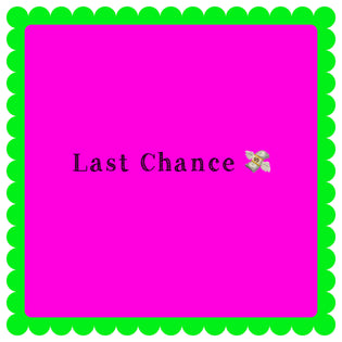 Last Chance ~ Clothing/ Accessories