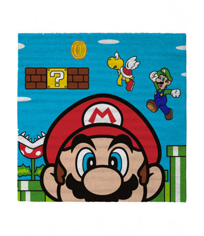 Floor Mat Rug Mario Brothers