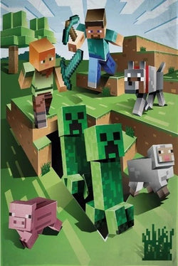 Minecraft Fleece Throw Blanket