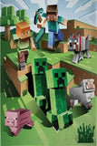 Minecraft Fleece Throw Blanket