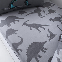 Dinosaur Friends Single fitted sheet & Pillowcase