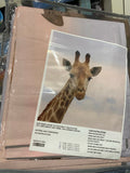 PRE ORDER Giraffe Quilt Cover Set